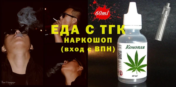гидра Бородино