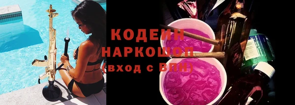 гидра Бородино
