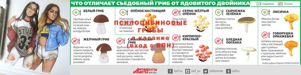 прущая мука Бронницы