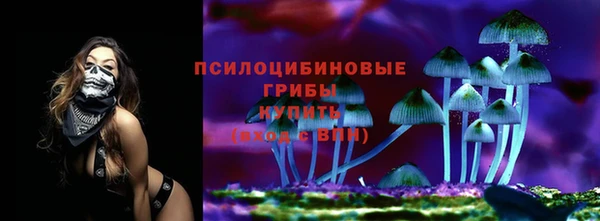 гидра Бородино