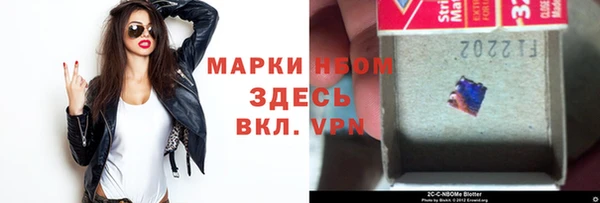 гидра Бородино