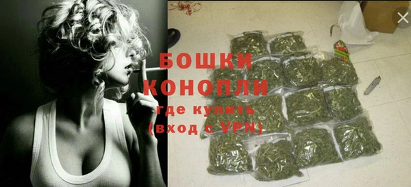 гидра Бородино