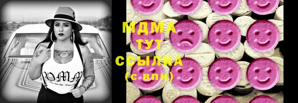 гидра Бородино