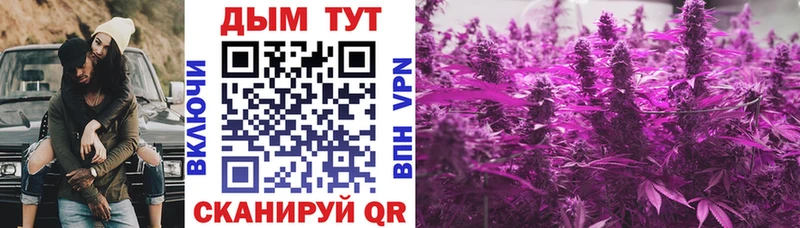 Каннабис MAZAR  blacksprut вход  Горно-Алтайск 